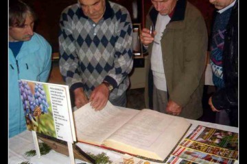 foto019