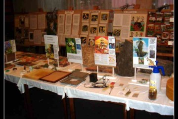foto022