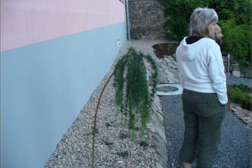 Arboretum02