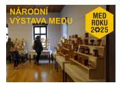 brno1